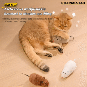 "Toy Mouse for Cats"